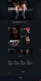 Ebony theme - Custom Web Design service - image