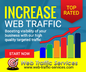 Web Traffic Services - banner image