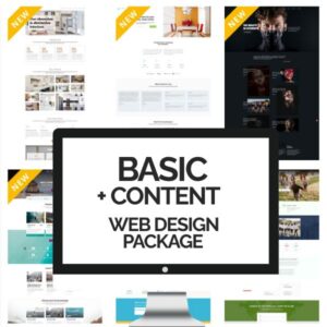 Basic Web Design + Content Package