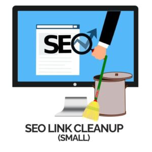 SEO Link Clean Up - Small